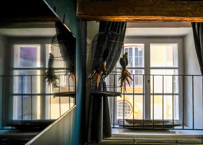 Apartment Blacksmith Old Town